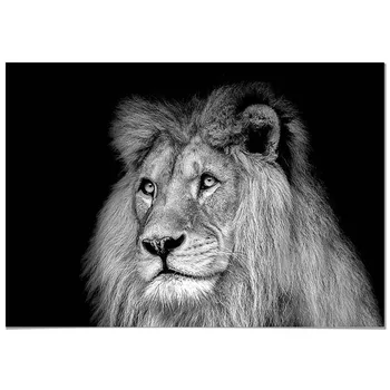 

Panorama Canvas Picture Black and White Lion - Printed on Canvas - Animals Wall Art - Animal Print Pictures - Modern Animal Photos - Home Decoration