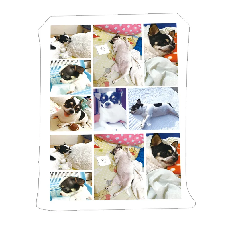 DIY ������ ���� ��� 155*220CM, ��ä�ο� �μ� ���� �ΰ� �̹���