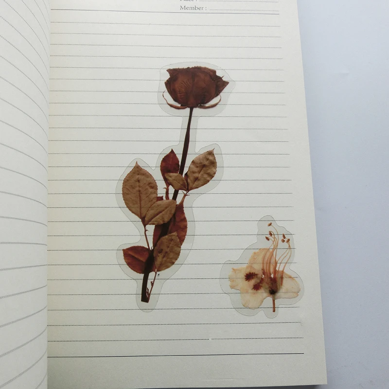 80Pcs/Set Simulation Flowers Leaves Stickers Transparent PET Sticker DIY Diary Calendar Decoration Scrapbooking Plant Sticker