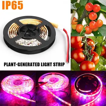

Light Strip 12V IP65 Vegetables Indoor Hydroponic Flower LED Light Strip LED Strip Full Spectrum Waterproof Greenhouse Plant