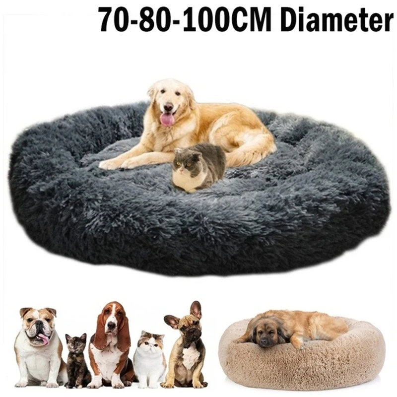 large plush dog