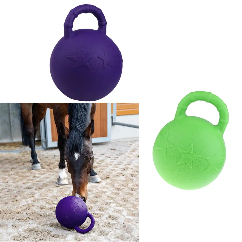 horse ball toy with handle
