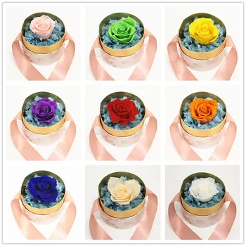 

9 colors beauty and the beast red rose sleeping rose eternal real rose best for mother's day, valentine's day, christmas gift