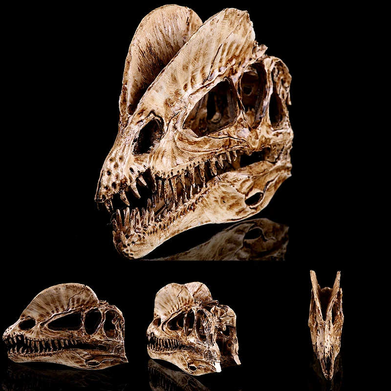 A KODENG Tyrannosaur Skull T-Rex Skull Gifts Lifelike Resin Crafts Dinosaur Skull Fossil Teaching Skeleton Model Home Aquarium Decor 
