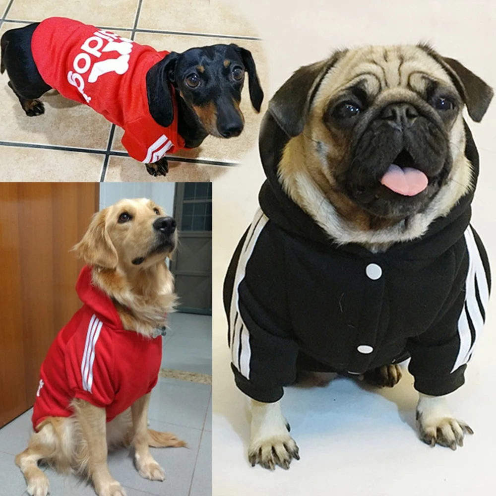 Pug Accessories | Dog Hoodie | Pet Dog Clothes | Pet Accessories | Clothes French - Dog Hoodies - Aliexpress