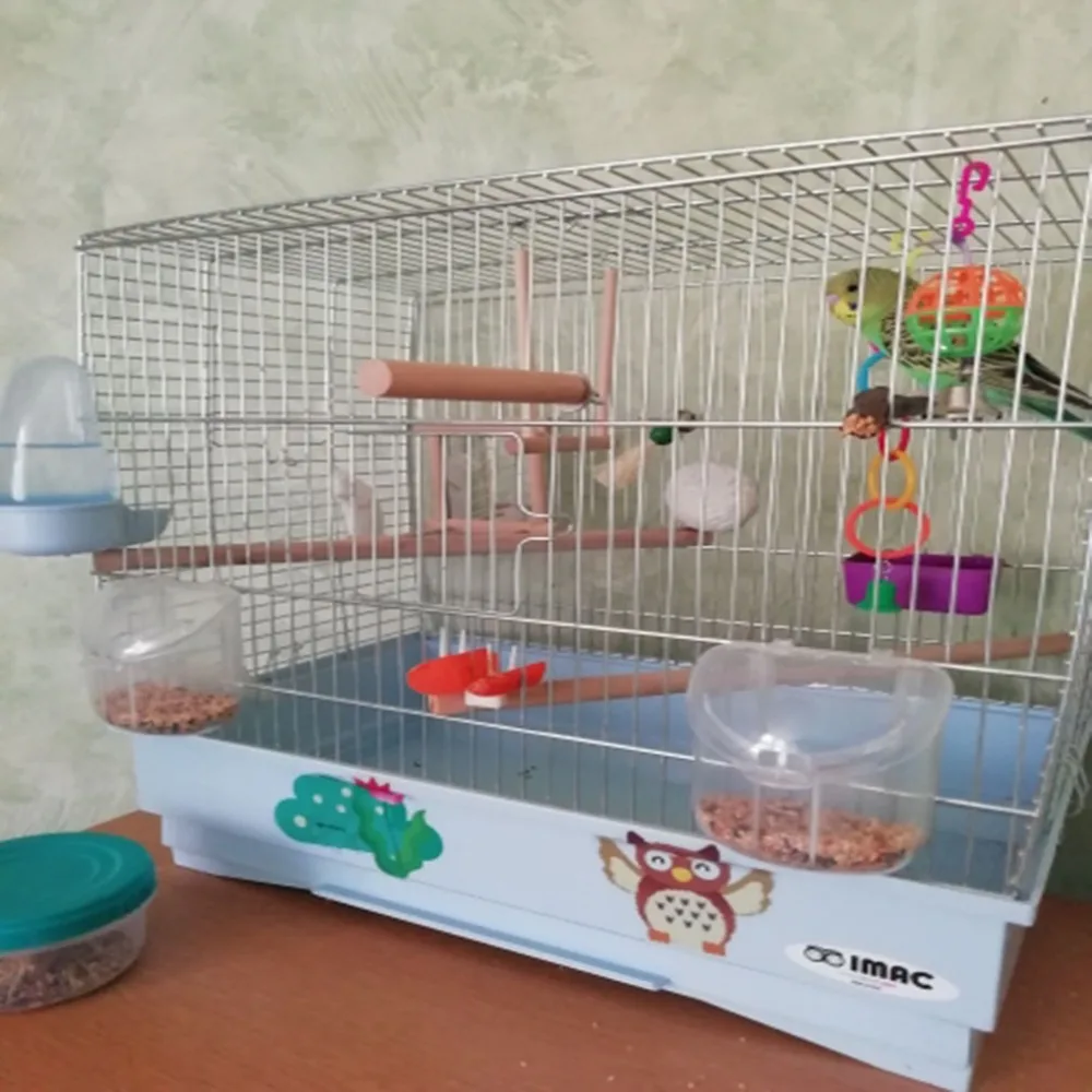 U0ce3fdbe33884ed3aa0c5ad7d4e4d765w