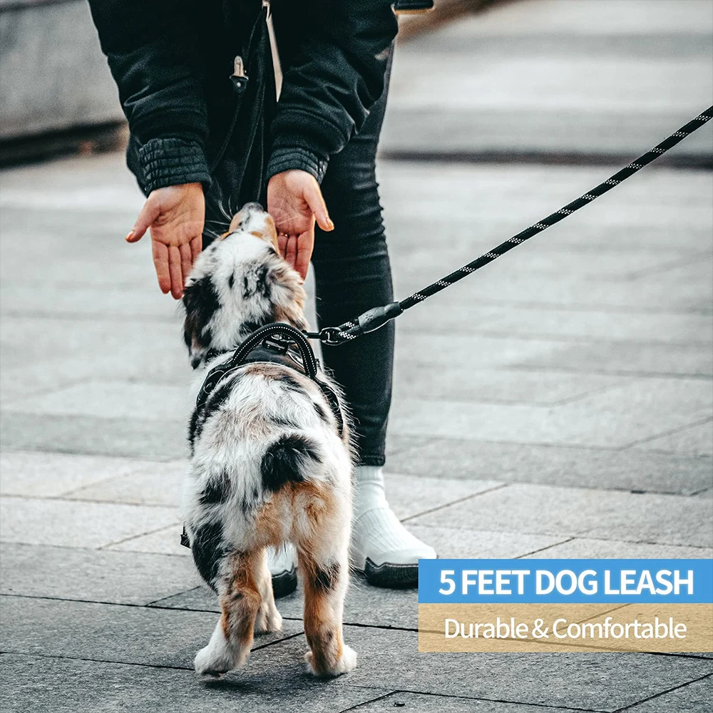 CenKinfo Strong Dog Leash ,Comfortable Padded Handle and Highly Reflective Threads Dog Accessories Puppy Supplies
