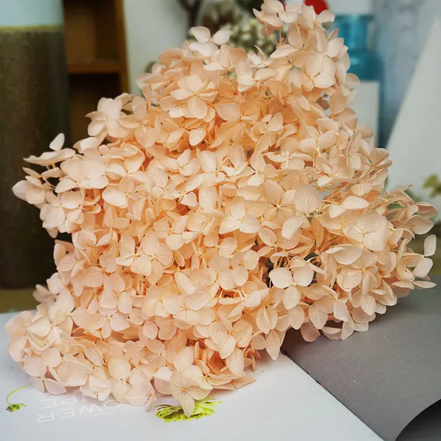 Anna Hydrangea  Flowers  Little  Leaves Preserved Hydrangea Decor  Office Decor  DIY Flowers Color 24