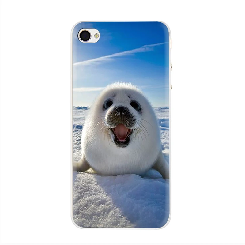 Жесткий чехол для телефона EWAU Baby harp Seal Sea Lion чехол для iPhone 5 5S SE 5C 6 6s Plus 7 8 Plus X XR XS 11 Pro MAX - Цвет: H4