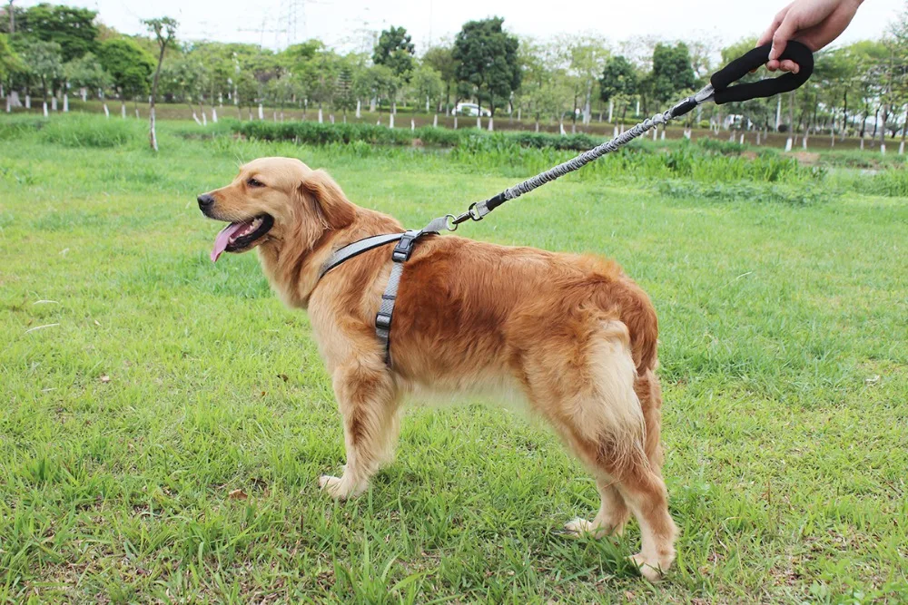 TUFF HOUND однотонный эластичный поводок удлиненный нейлоновый Канат высокоэластичный поводок для спорта на открытом воздухе для прогулок поводок для собак подходит для больших собак