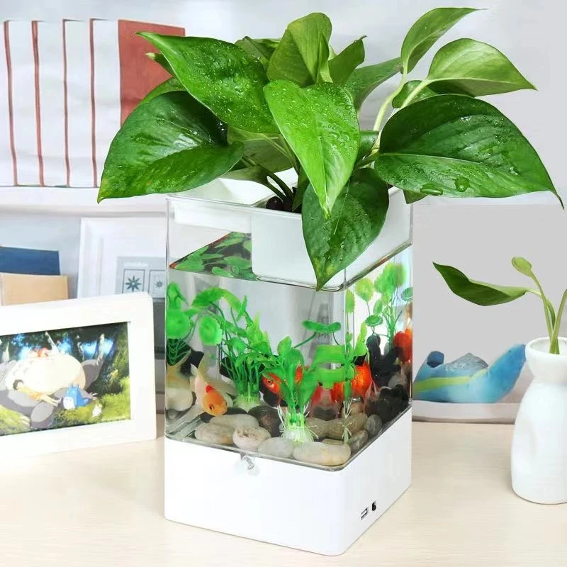 

Creative color light mini small fish tank desktop multi-function free change water bucket fish tank aquarium aquarium accessorie