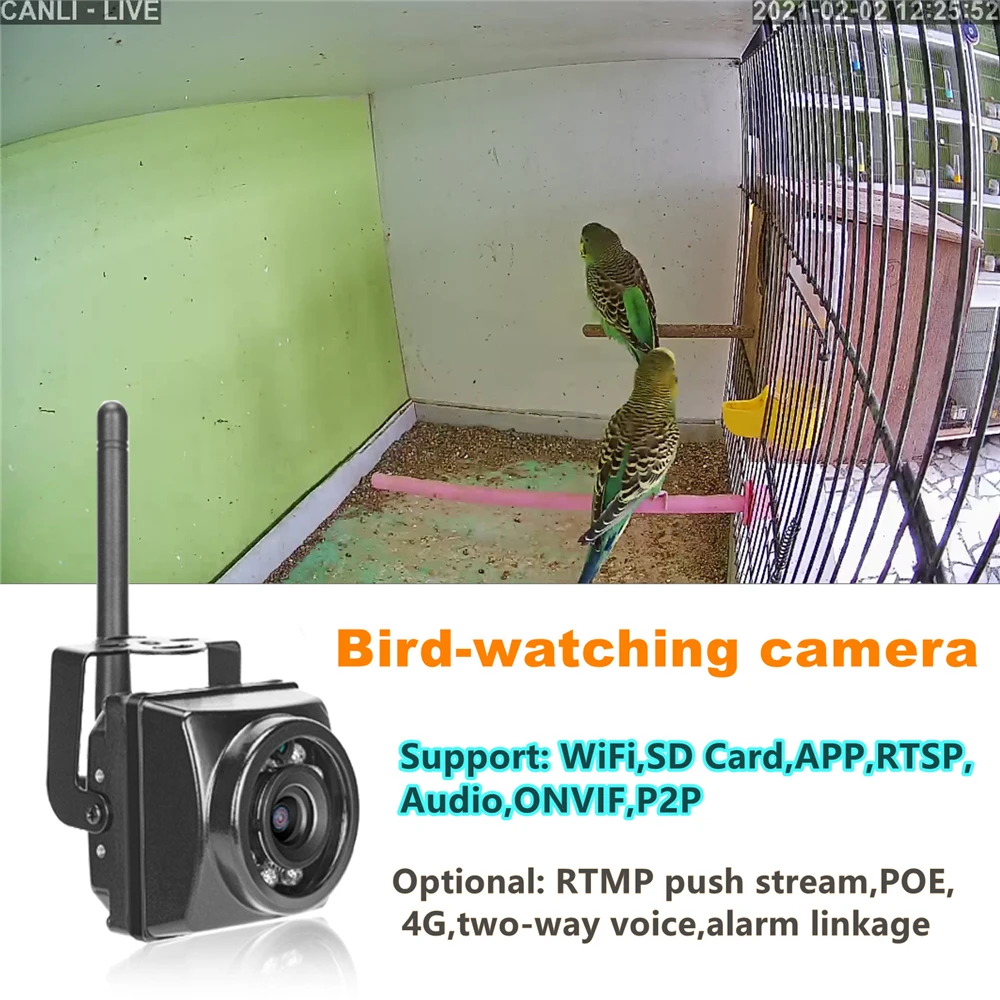 Bird Box Camera Kit Audio 1920P 1080P Night Vision Outdoor Mini