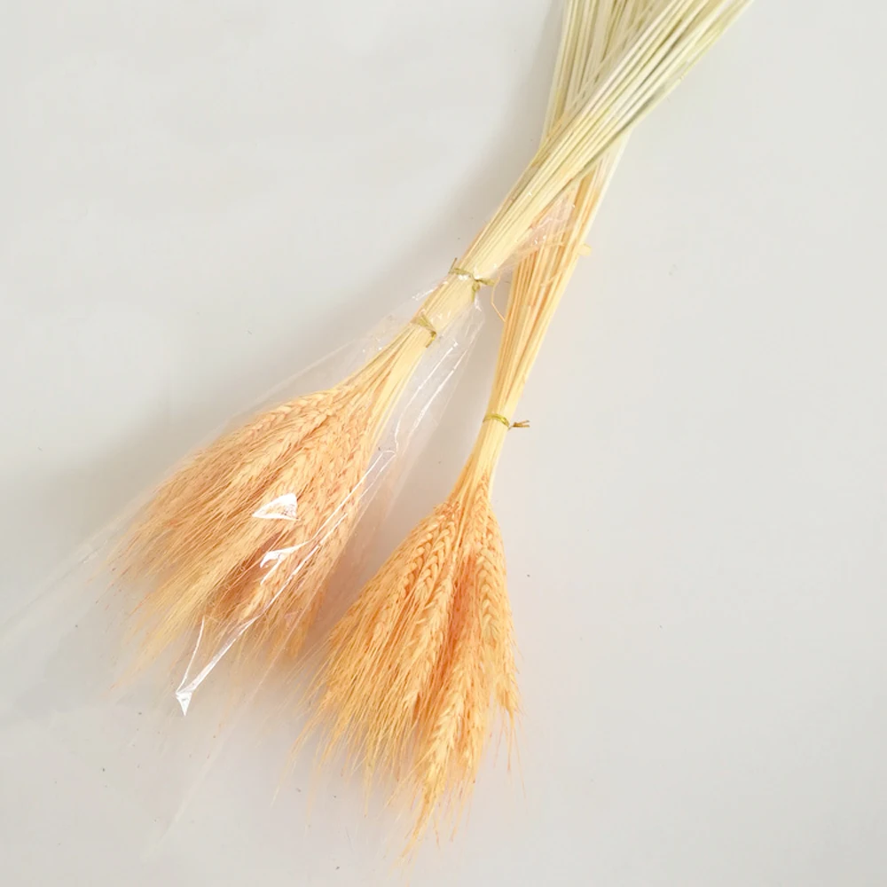 100 шт. букеты из натуральных сушеных цветов|flower bouquet|dried flower bouquetear of wheat |