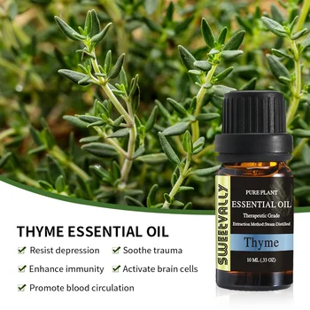 

10ml Essential Oils Aromatherapy Fragrance Plant Diffusers Essential Thyme Vanilla Tea Tree Oil Pure Gift
