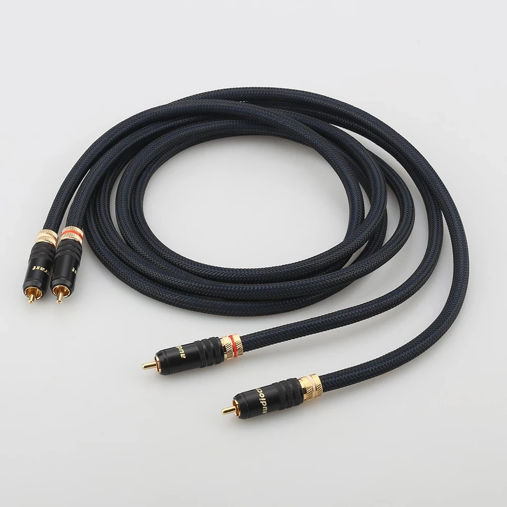 1  A10 RCA ̺   ǹ  RCA  ̺   RCA ÷
