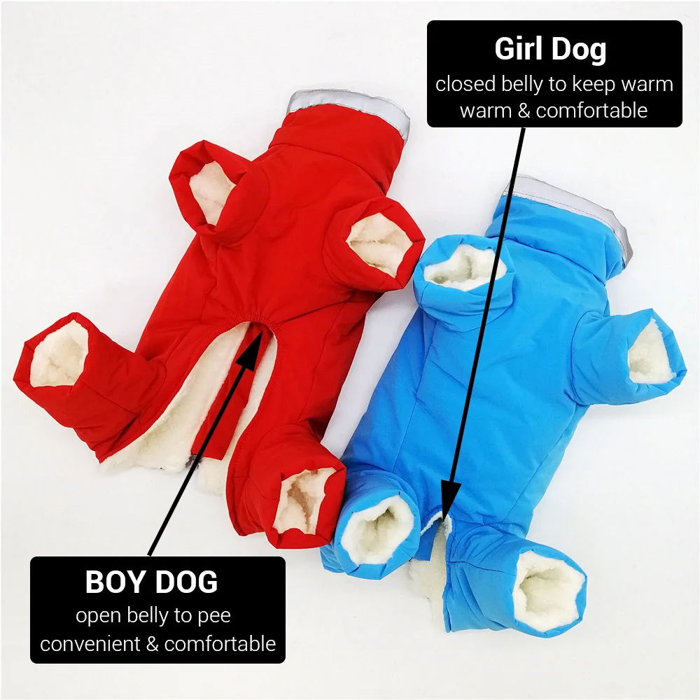 Waterproof Dog Snowsuit | Small Dog Snowsuit | Puppy Snowsuit | Dog Winter Snowsuit