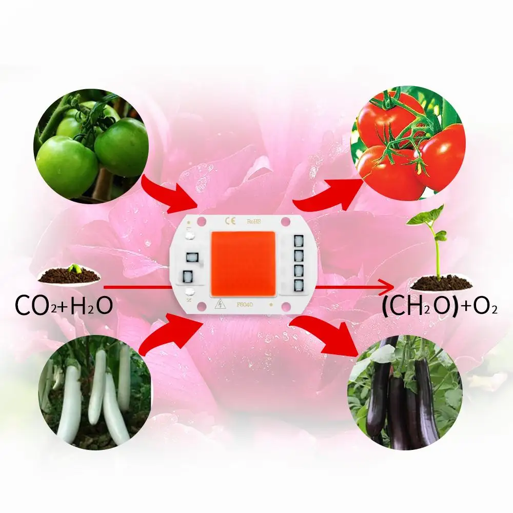 LED Grow Light 10pcs/lot COB Chip Full Spectrum AC 220V 110V 50W 30W 20W 10W Phyto Lamp No Need Driver Indoor Plants