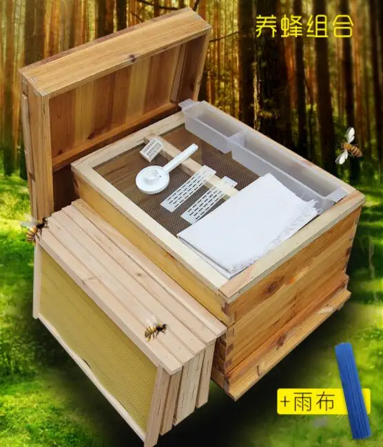 QQ截图20200131164608