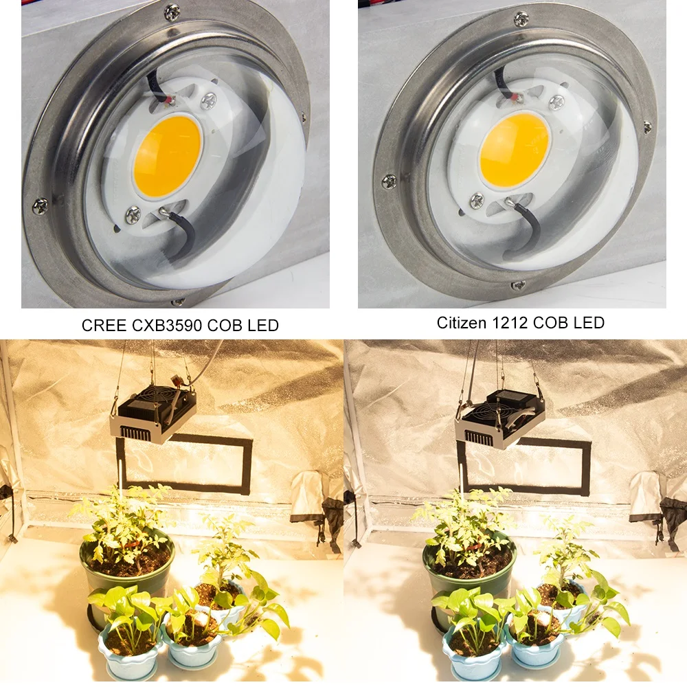 CREE CXB3590 COB светодиодный Grow светильник 100W 3000K 3500K 5000K Citizen 1212 для сельскохозяйствнных