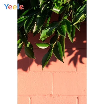 

Yeele Landscape Portrait Tree Leaves Sunshine Wall Photography Backdrops Personalized Photographic Backgrounds For Photo Studio