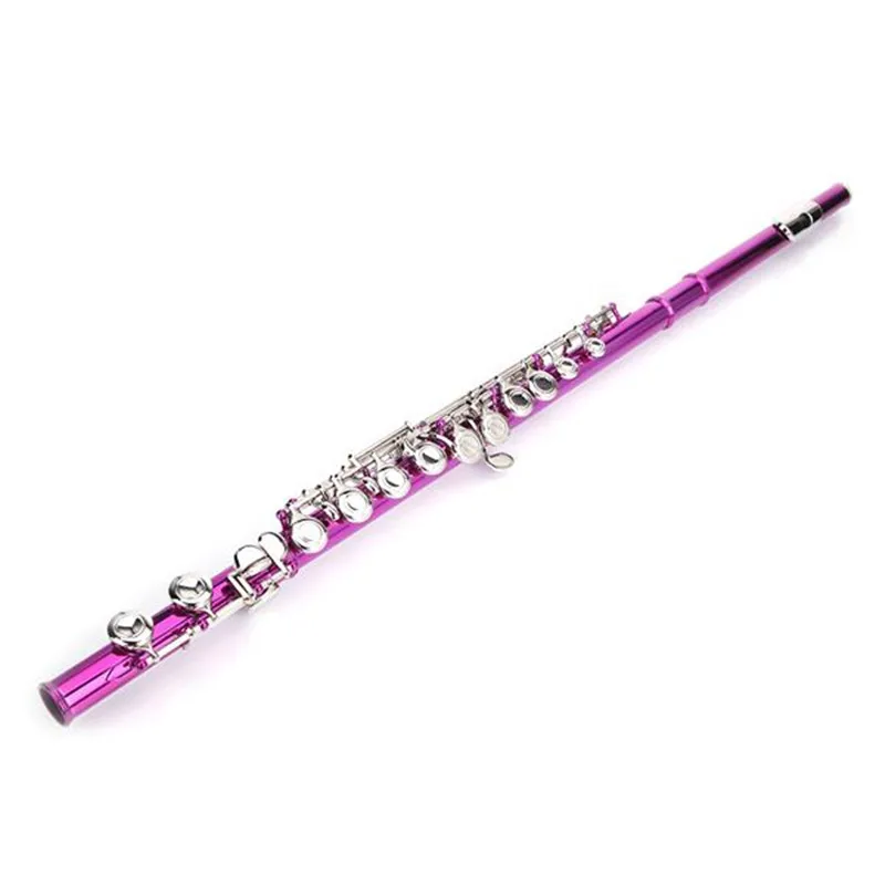 

Flute Instrument Cupronickel C 16 Closed Holes Concert Band Flute with Case+Cloth+Screwdriver+ Lubricant+Cleaning Rod