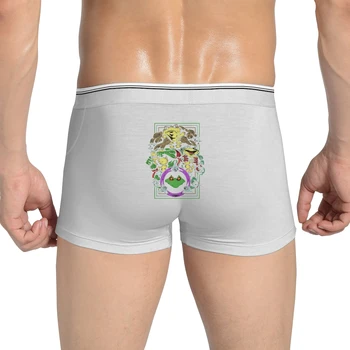 

Battletoads Illustration Print Men's underwear