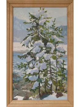 

Fir in the snow. 35x55