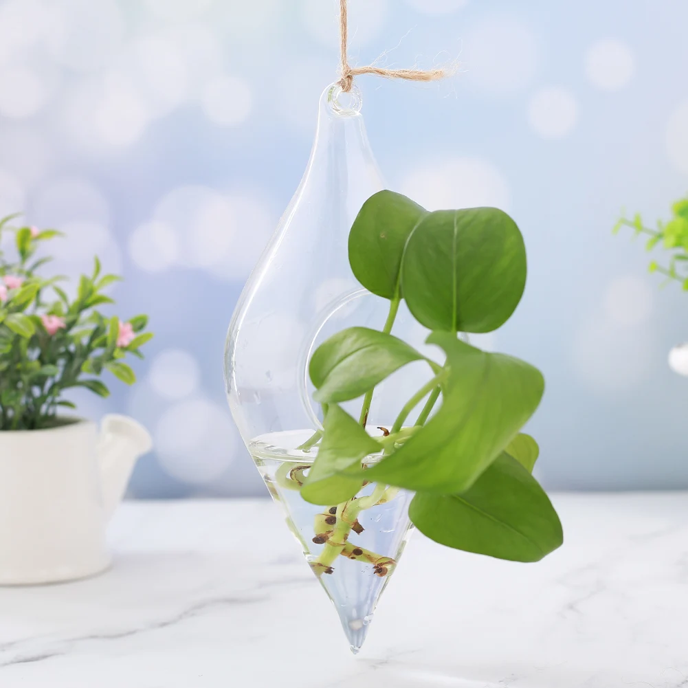 Hanging Glass Vase Hanging Terrarium Hydroponic Clear Container Indoor Office