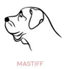 MASTIFF Собака портрет Персонализированные Имя ожерелье Собака ювелирные изделия любимое животное подарок для мамы собаки породы ожерелье PN305 - Окраска металла: MASTIFF