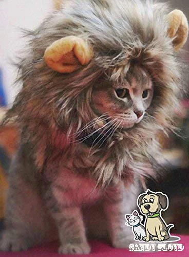 Костюм для кошки Sandy Floyd Lion Mane