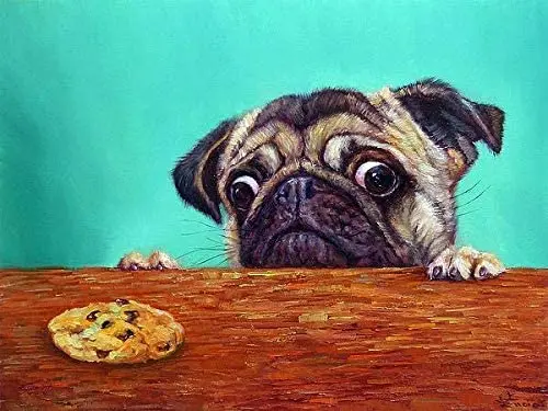 

Funny Pug with Cookie Poster Metal Tin Sign 8X12 Inch Home Kitchen Bedroom Bar Sign Decoration Posters Tin Sign Metal Iron
