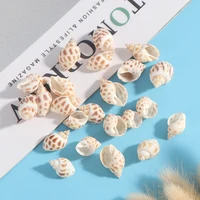 Mini Natural Conch Shells Conch Corn Screw Home Decoration DIY Aquarium Landscape Seashells Crafts party Decor