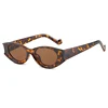 C2Leopard-Brown