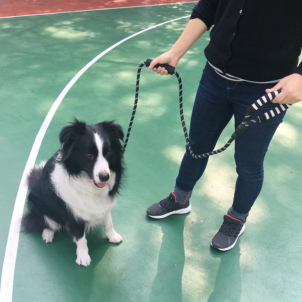 

Reflective Nylon Dog Leash Double Handled Dog Mountain Climbing Rope Dog Chain Traction Rope for Pet Training Walking Running