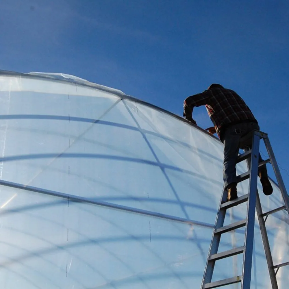 10 - GGF200525004_0548583122221554333