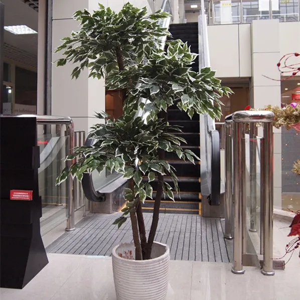 新品で購入して 大きな人工ユーカリの枝 緑と白の絹の葉 大きな鉢植え 熱帯をテーマにしたツリー オフィス ホテル 店舗 装飾植物 160cm 通販 超特価セール Signature Johaness Com