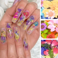 1 коробка сушеные цветы лист DIY украшения для ногтей Красота цветение подсолнухи советы натуральные Подвески наклейки для ногтей аксессуары