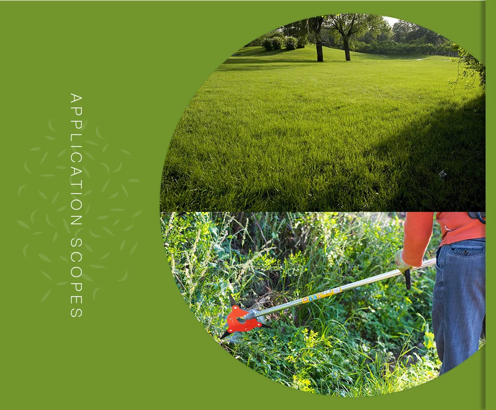 HTB1aZGbeBCw3KVjSZFuq6AAOpXax