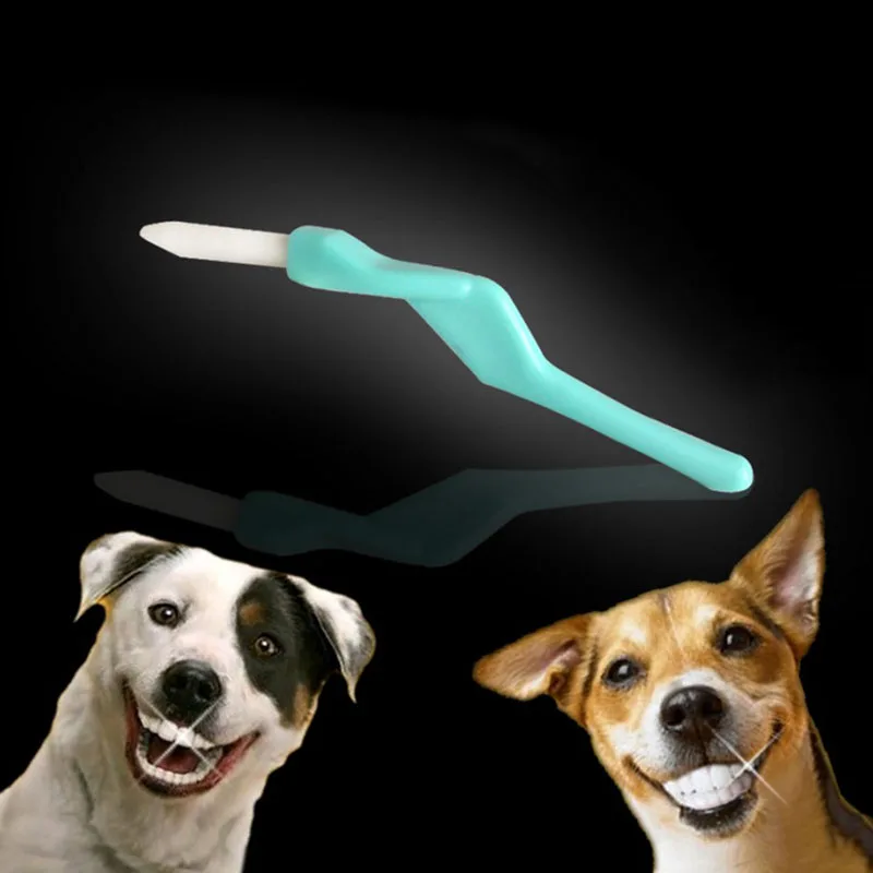 25pcs set Nanomaterials font b Pet b font Toothpicks Tooth Brush for Dogs font b Pet