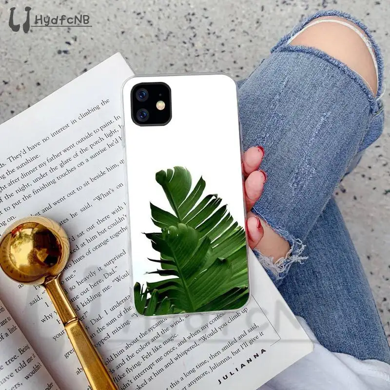 Banana Leaf