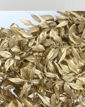 

Immortal flower material gold silver willow leaf Yongsheng flower salix