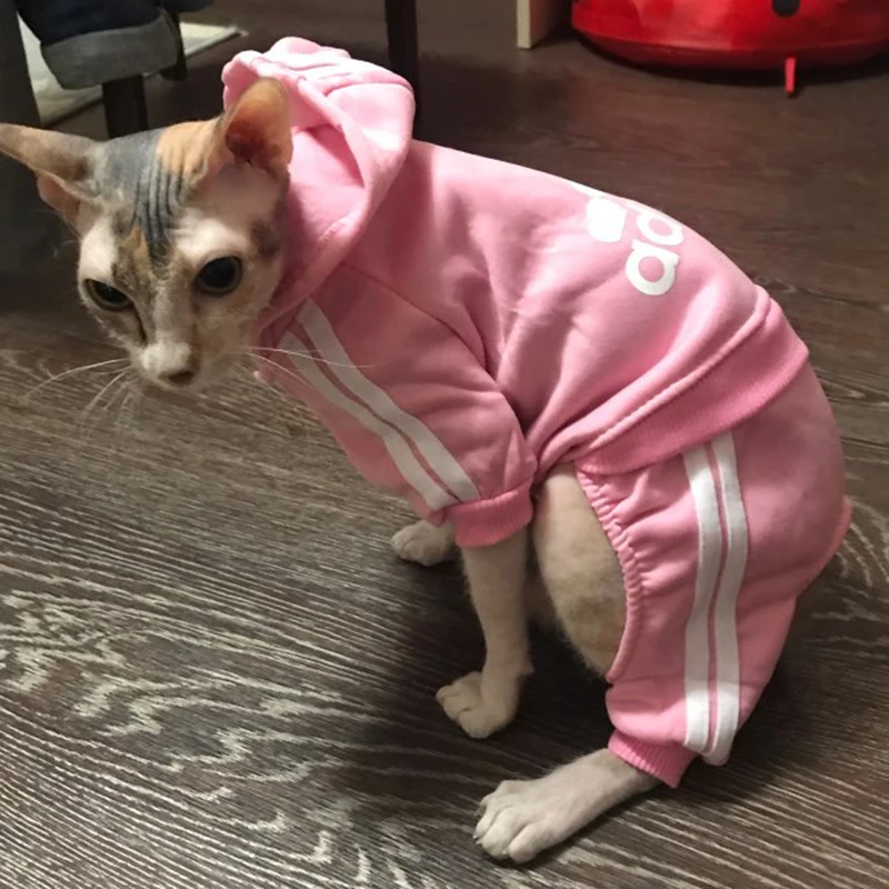 Одежда Каттен свитер с капюшоном зимняя теплая одежда для домашних животных для кошек Сфинкс наряд Kedi Giyim товары для домашних животных зимняя одежда для кошек