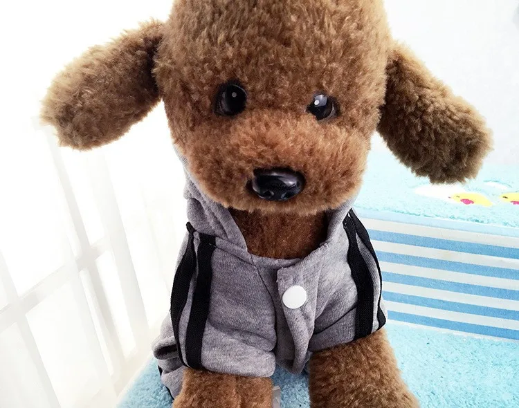 HTB1phZHLXXXXXbMXVXXq6xXFXXXn