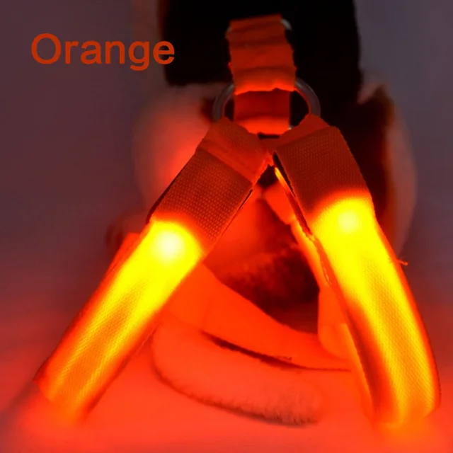 orange Dog Harness Нейлоновый светодиодный жгут для безопасности домашних животных, продукт для собак, мигающий светильник, жгут, светодиодный жгут для собак, поводок, веревка, ремень, светодиодный ошейник, жилет, товары для домашних животных - Цвет: orange Dog Harness