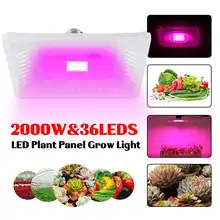 2000 Вт лампы для выращивания полный спектр растительный светильник ing растущий светильник светодиодный светильник для выращивания растений для выращивания цветов