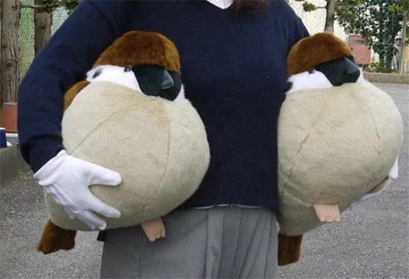 10848088786_1888598795