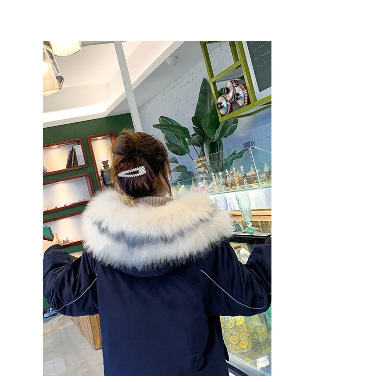  pleuche cotton1_13.jpg