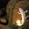 Seletti Resin Lizard Night Light Nordic Living Room Bedroom for Modern Animal Chameleon Table Lamp Led Wall Lamp decor Luminarie ► Photo 2/6