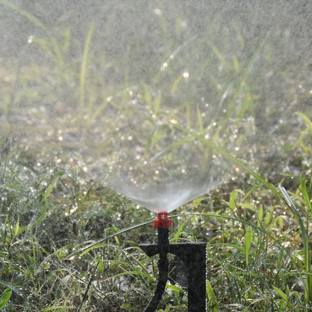 DSC_7465