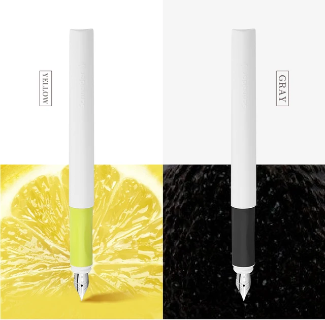 German Imported Schneider Fountain Pen Replaceable Ink Sac